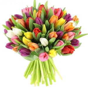 Buchet 51 Lalele Multicolore